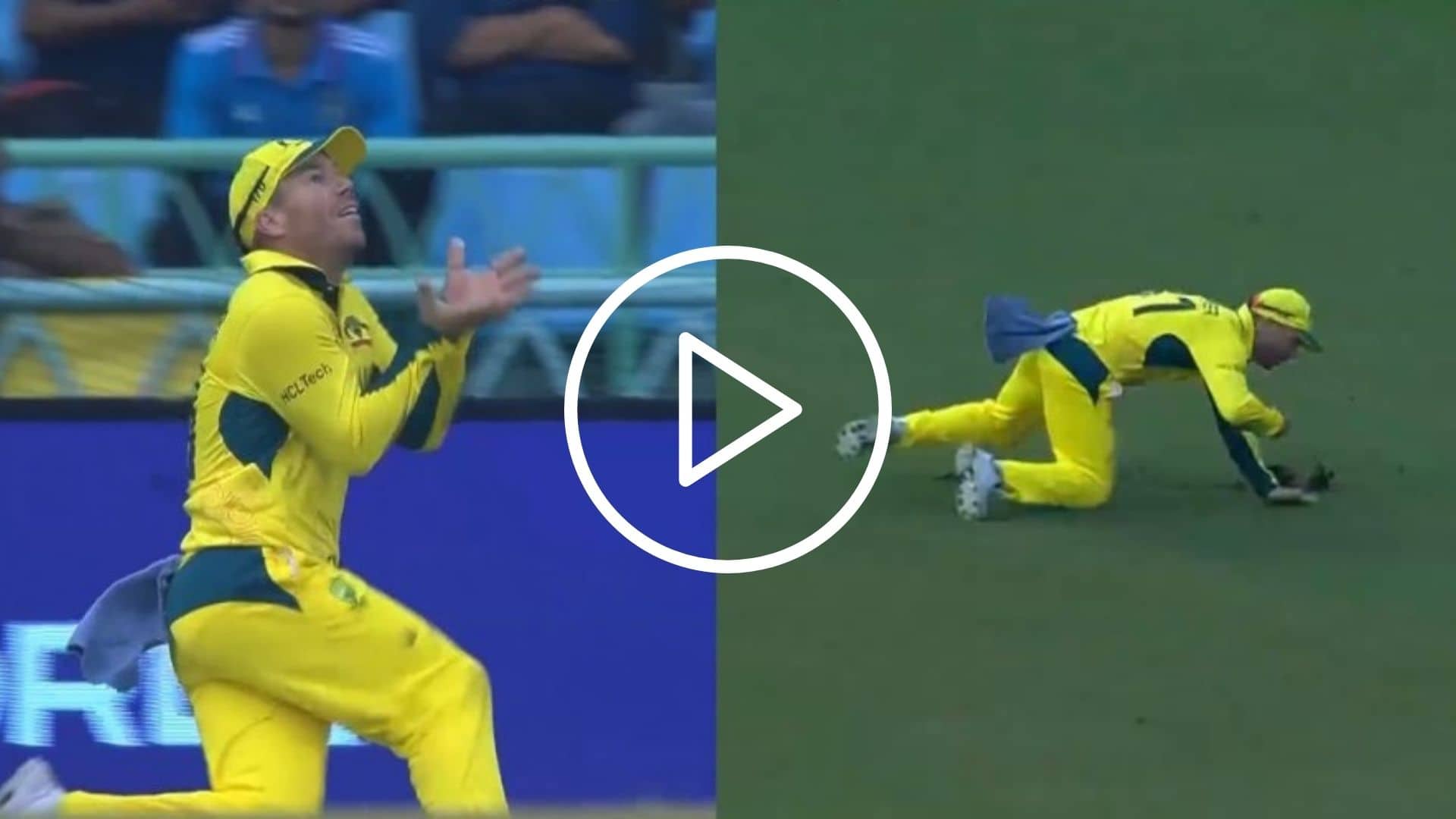 [Watch] David Warner Nearly Ruled Out Of World Cup After ‘Full-Blooded’ Grab off Kusal Mendis